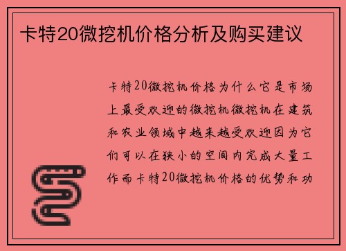 卡特20微挖机价格分析及购买建议