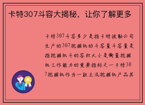 卡特307斗容大揭秘，让你了解更多