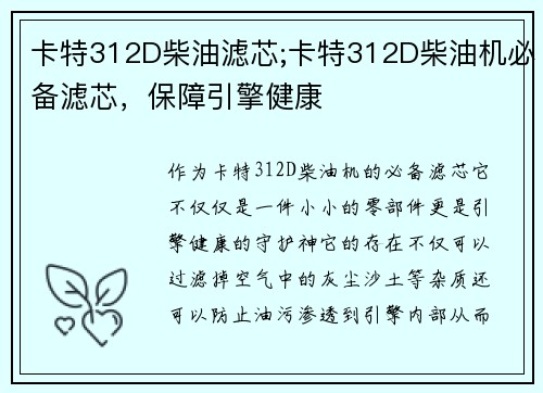 卡特312D柴油滤芯;卡特312D柴油机必备滤芯，保障引擎健康